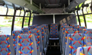 20 Person Mini Bus Rental Darien